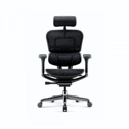 Radna fotelja ERGOHUMAN Elite II