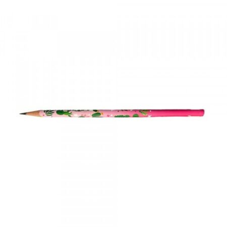Grafitna olovka Faber Castell Cactus 2B  57000