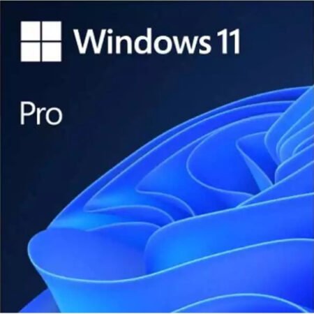 Microsoft Windows 11 Pro 64bit Eng Intl OEM DSP DVD (FQC-10528)