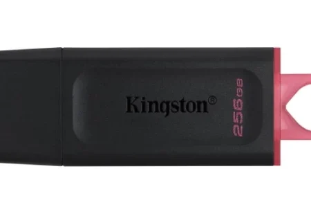 KINGSTON 256GB DTX/256GB USB Flash memorija 3.2 Black