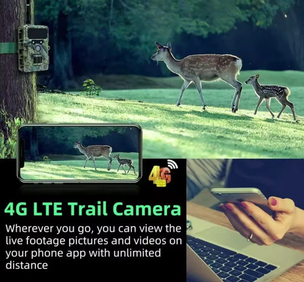 CAM-32MP-HUNTING-RD4019G GMB trail cam 4G 32MP with SIM,smartphone compatible,fotografisanje prirode - Slika 3