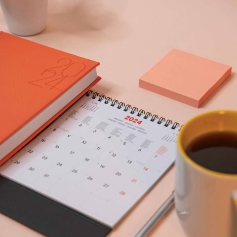 pexels-viridianaor-19797276 (1)